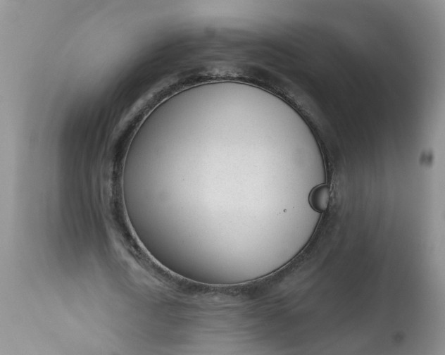 X0000113100722200909111050