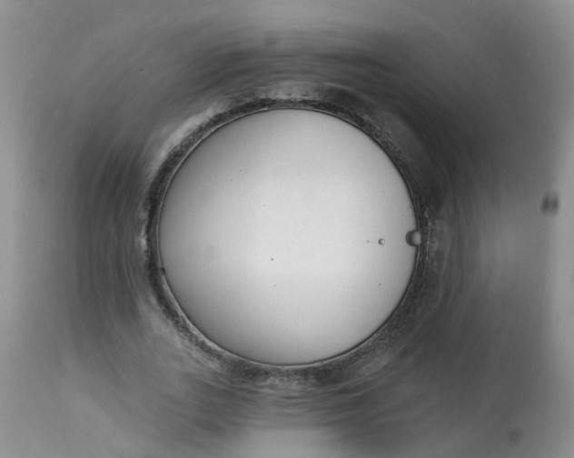 X0000113100727200909111050