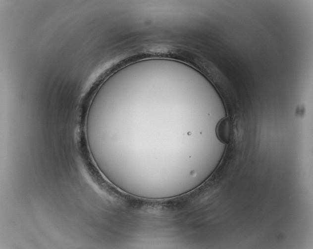 X0000113100728200909111050