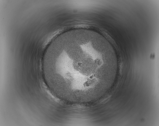 X0000113100729200909111050