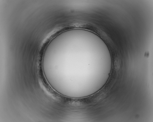 X0000113100730200909111050