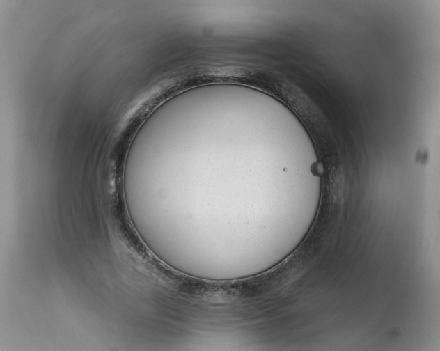 X0000113100731200909111050