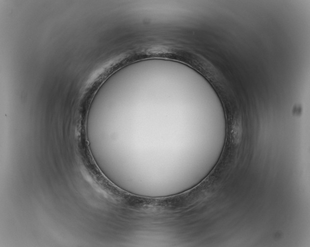 X0000113100732200909111050