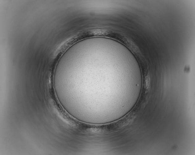 X0000113100733200909111050
