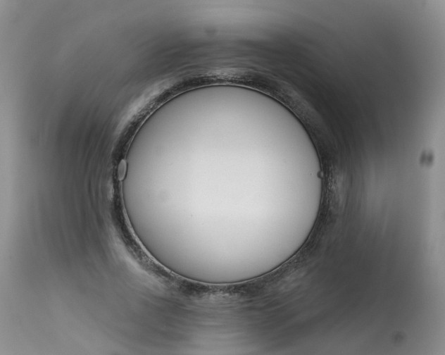 X0000113100734200909111050
