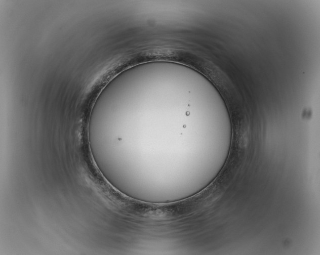 X0000113100735200909111050