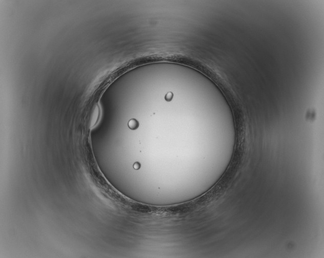 X0000113100736200909111050