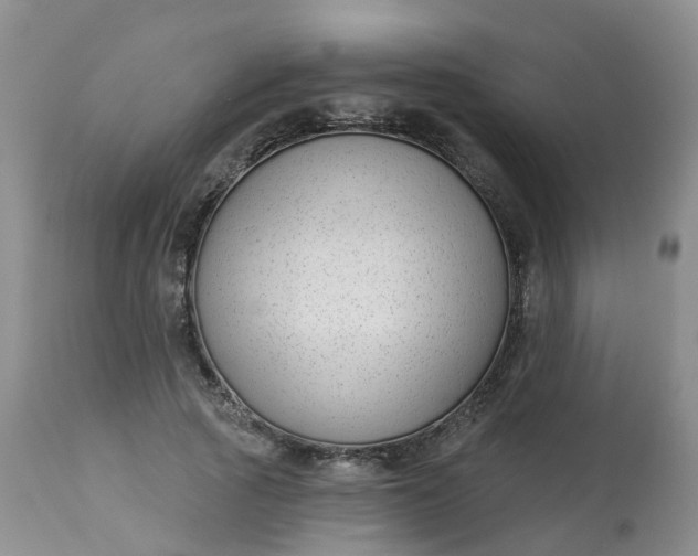 X0000113100737200909111050