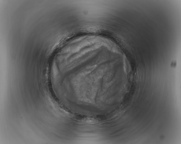 X0000113100739200909111050