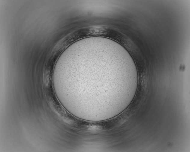 X0000113100741200909111051