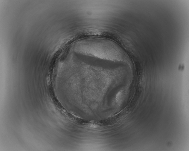 X0000113100743200909111051