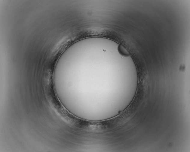 X0000113100744200909111051