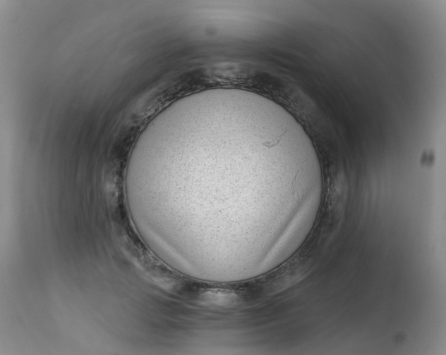 X0000113100749200909111051