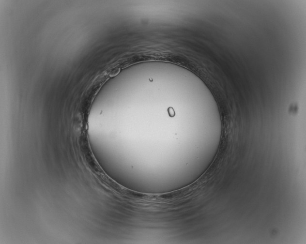 X0000113100752200909111051