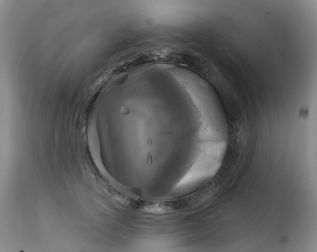 X0000113100754200909111051