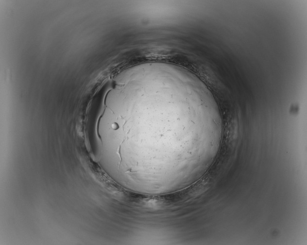 X0000113100755200909111051