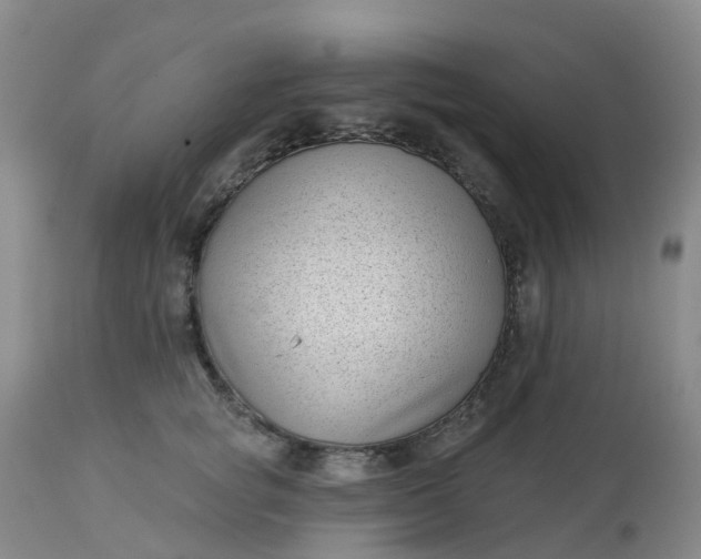 X0000113100757200909111051