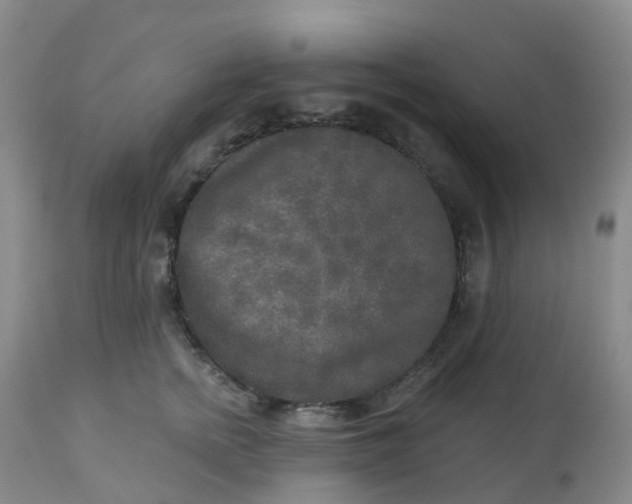 X0000113100758200909111051