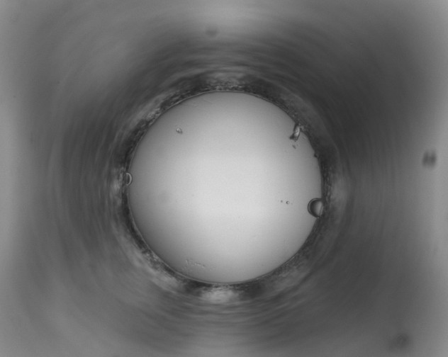 X0000113100759200909111051