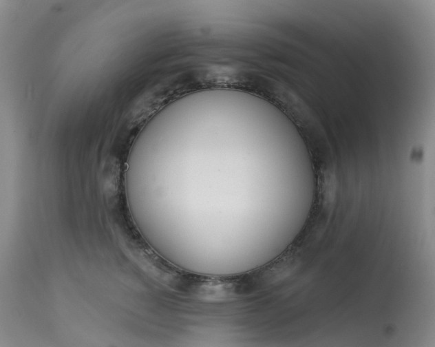 X0000113100760200909111051