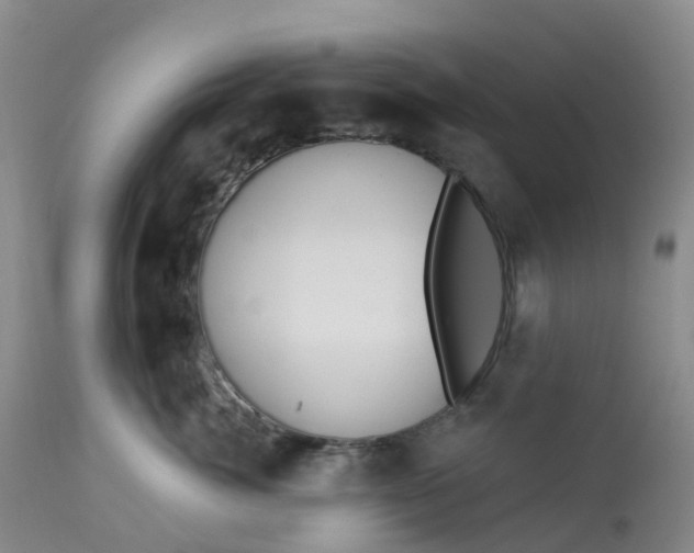 X0000113100764200909111051
