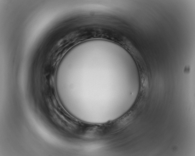 X0000113100765200909111051