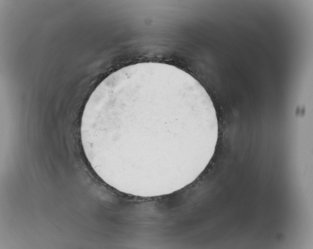 X0000113100769200909111050