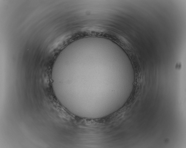 X0000113100774200909111050