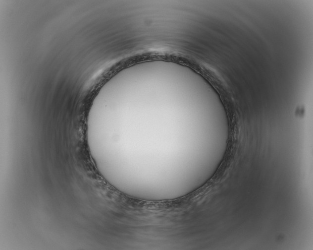 X0000113100776200909111050