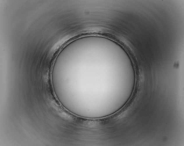X0000113100778200909111050