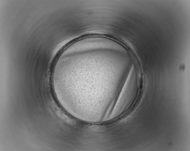 X0000113100779200909111050
