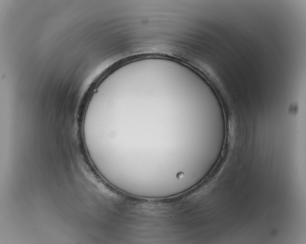 X0000113100780200909111050