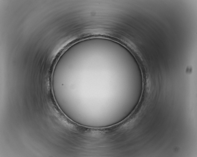 X0000113100782200909111050