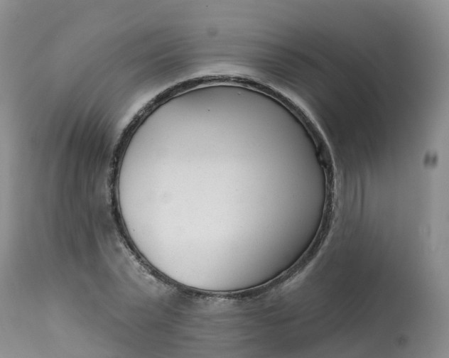 X0000113100783200909111050