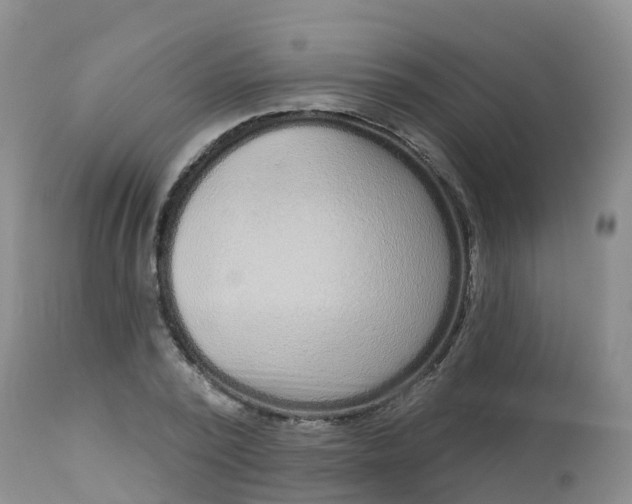 X0000113100784200909111050