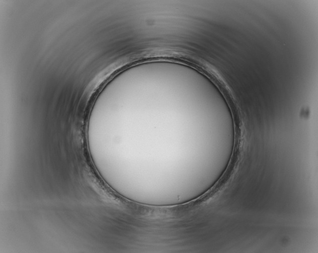 X0000113100786200909111050