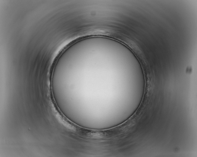 X0000113100792200909111050
