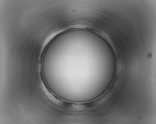 X0000113100795200909111050