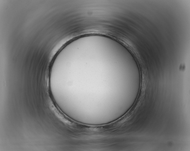 X0000113100796200909111050