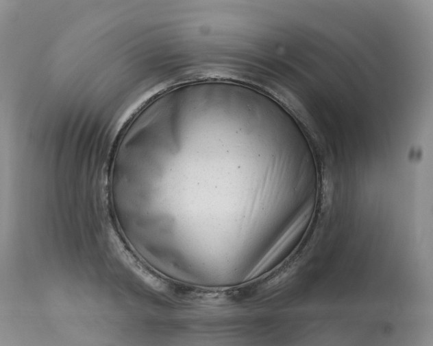 X0000113100798200909111050