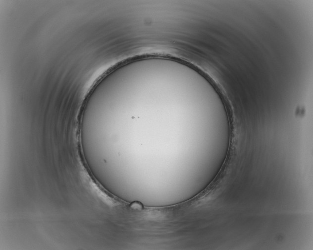X0000113100799200909111050