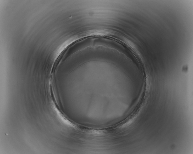 X0000113100802200909111050