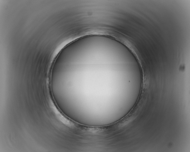 X0000113100803200909111050