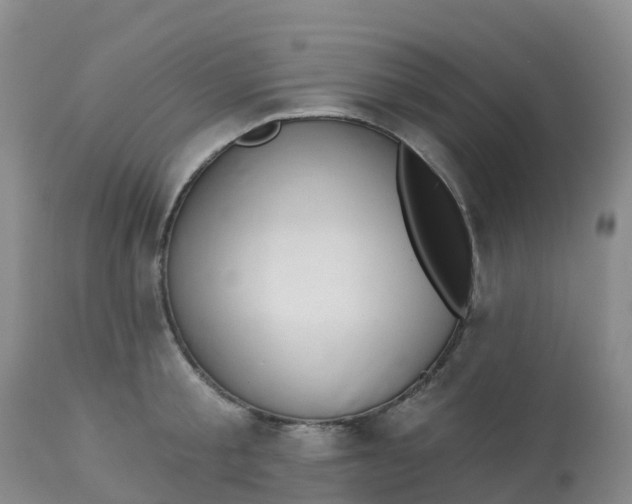 X0000113100805200909111050