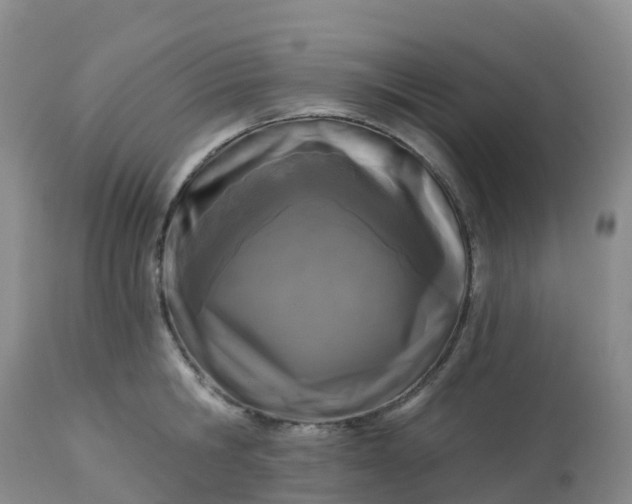 X0000113100806200909111050
