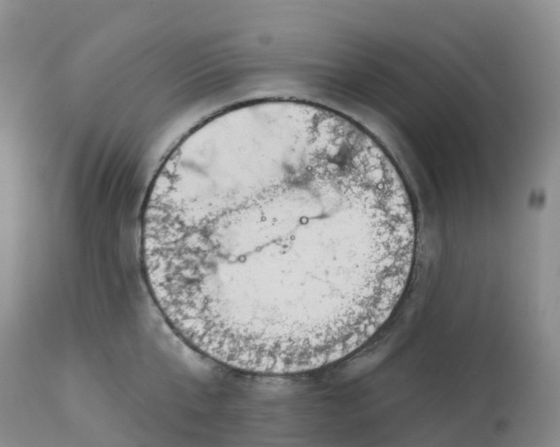 X0000113100807200909111050