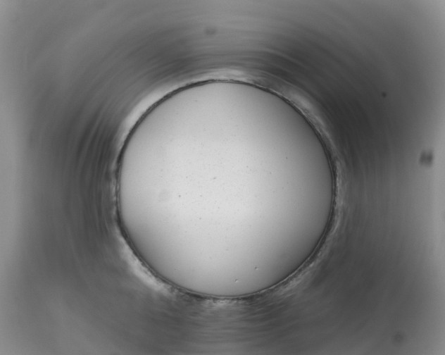 X0000113100808200909111050