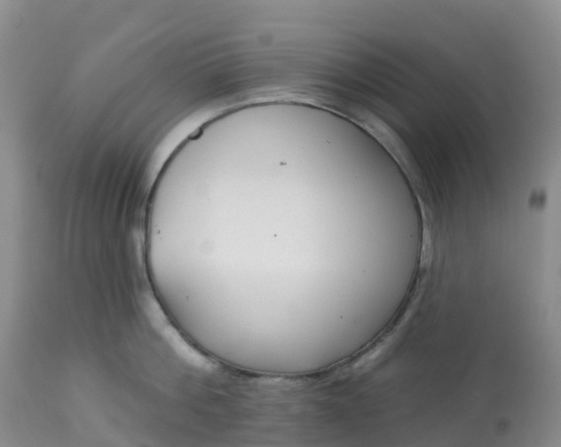 X0000113100812200909111050