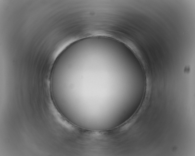 X0000113100814200909111050