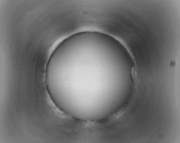 X0000113100815200909111050